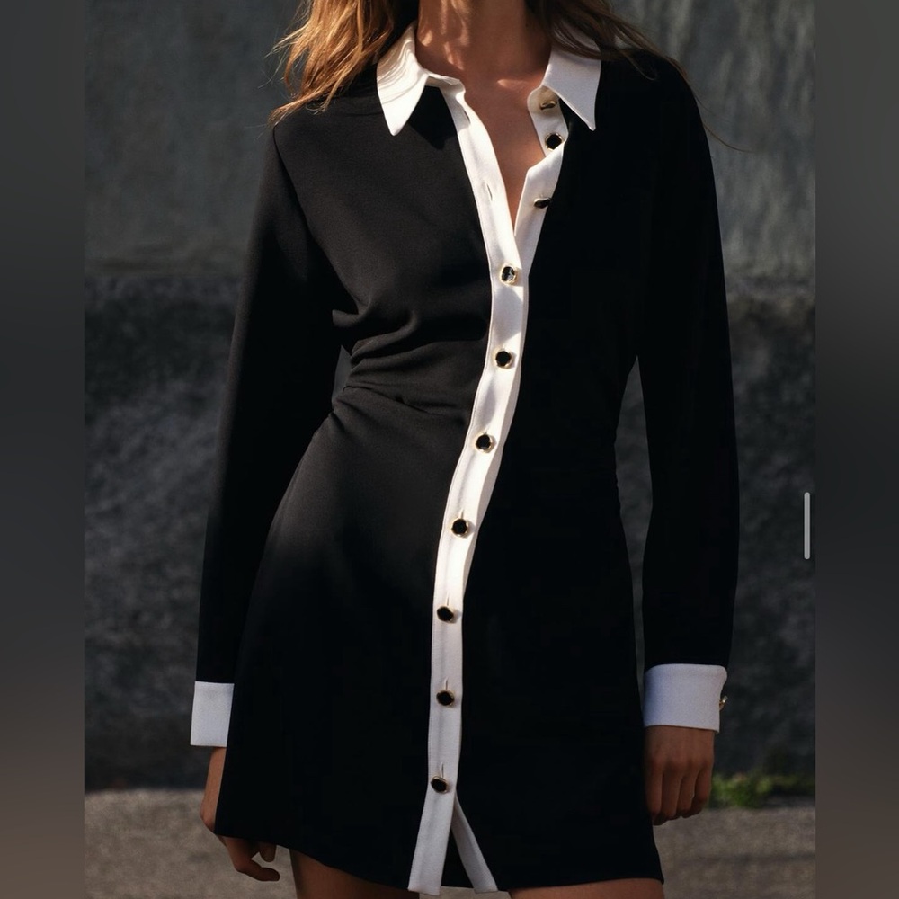 Zara Mini dress